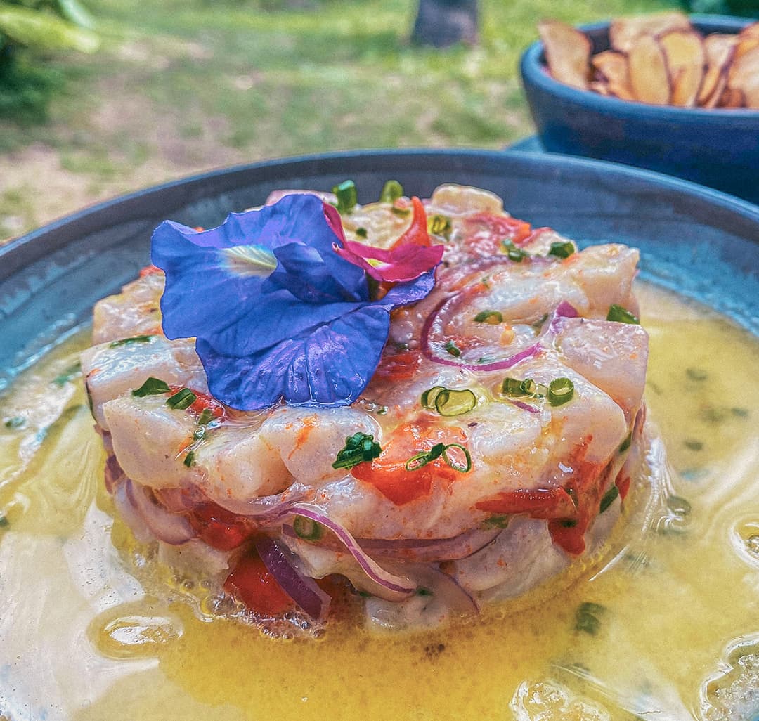 Ceviche de peixe fresco com flor comestível no Restaurante do Vale, Noronha
