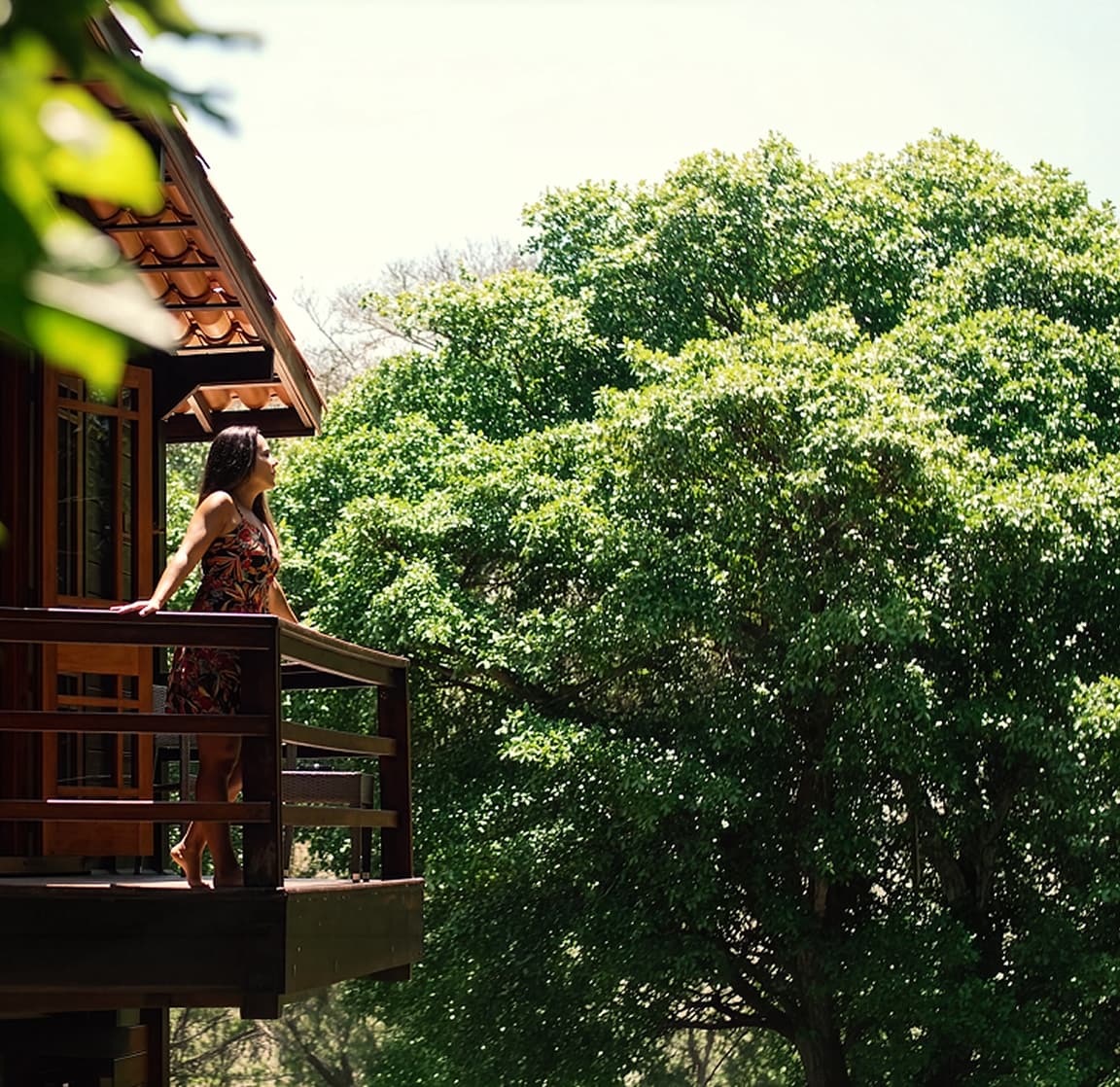 Jardim Elizabeth