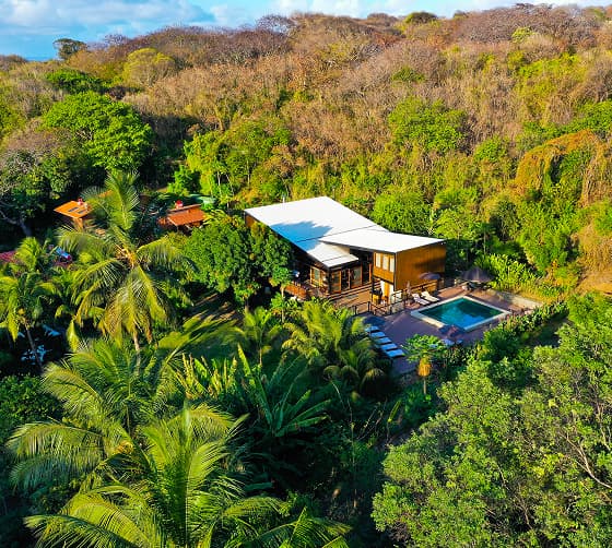 Naturaleza alrededor de la posada en Noronha