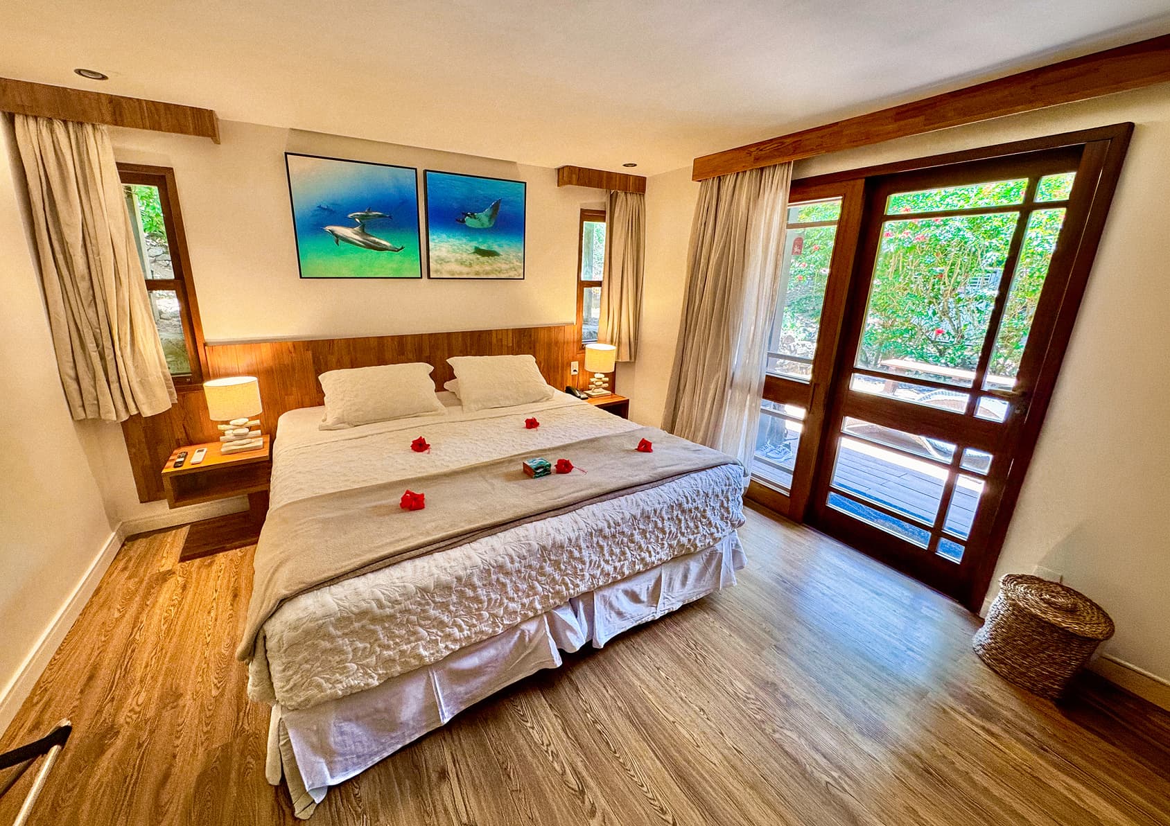 Suite Premium